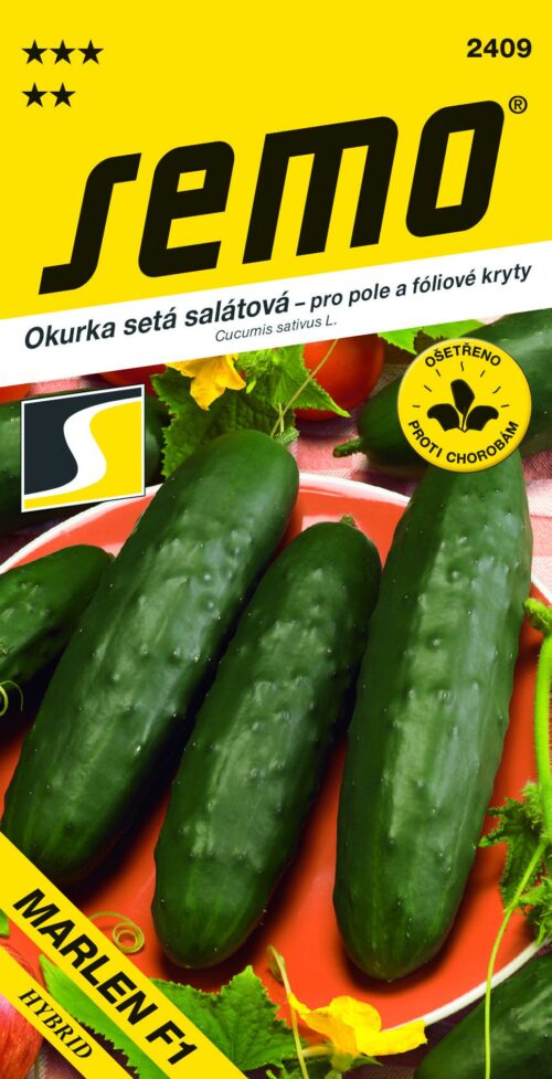 Okurka salát. - Marlen F1 fol., pole 1,3g - Image 1