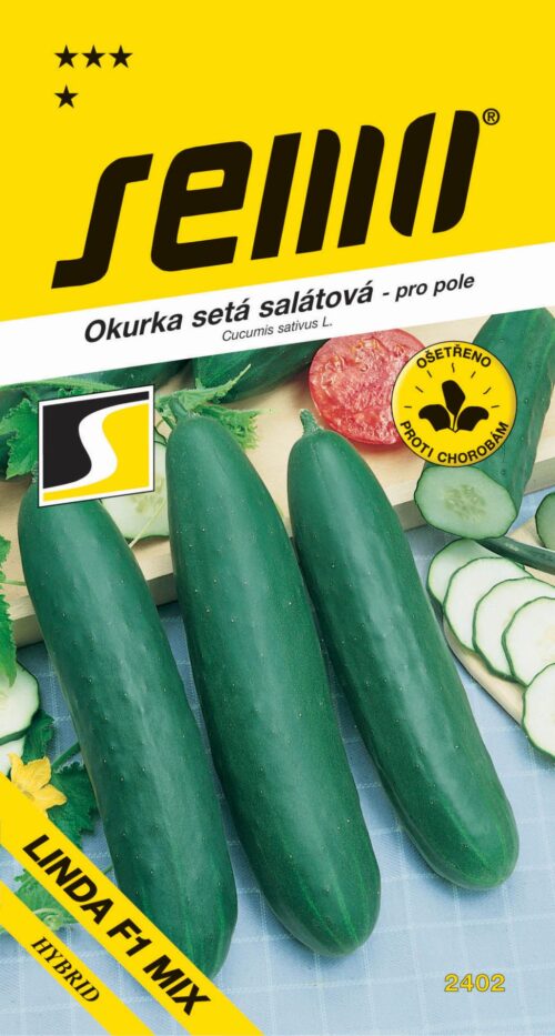 Okurka salát. - Linda F1 Mix pole 1,3g - Obrázek 1