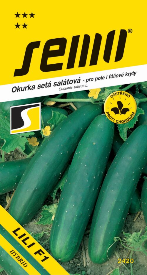 Okurka salát. - Lili F1 fol., pole 1,5g - Obrázek 1