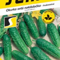 Okurka nakl. - Regina F1 hr 2g