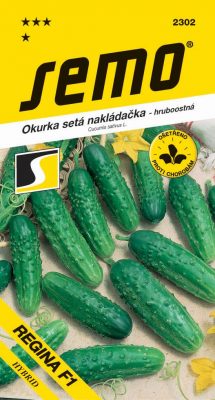 Okurka nakl. - Regina F1 hr 2g