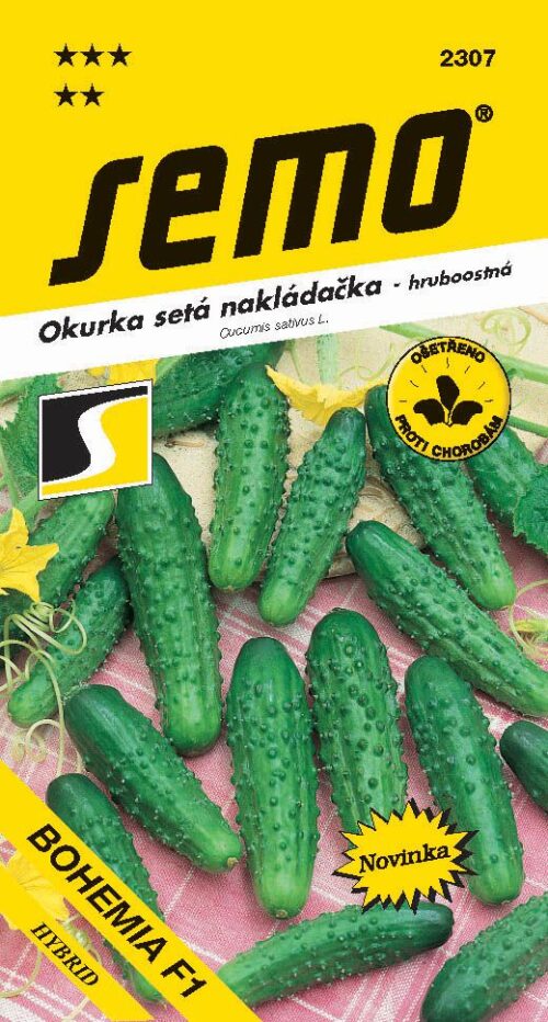 Okurka nakl. - Bohemia F1 hr 2g - Obrázek 1