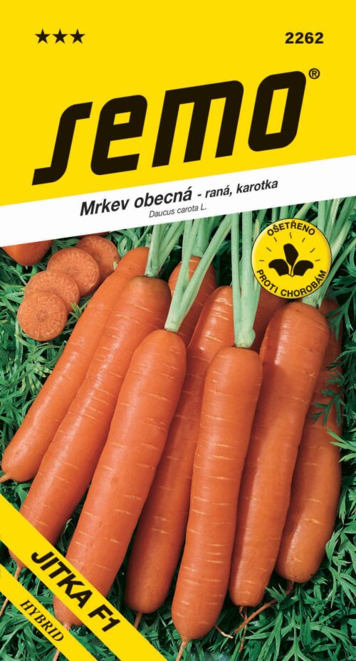 Mrkev Karotka - Jitka F1 raná 1,3g - Obrázek 1