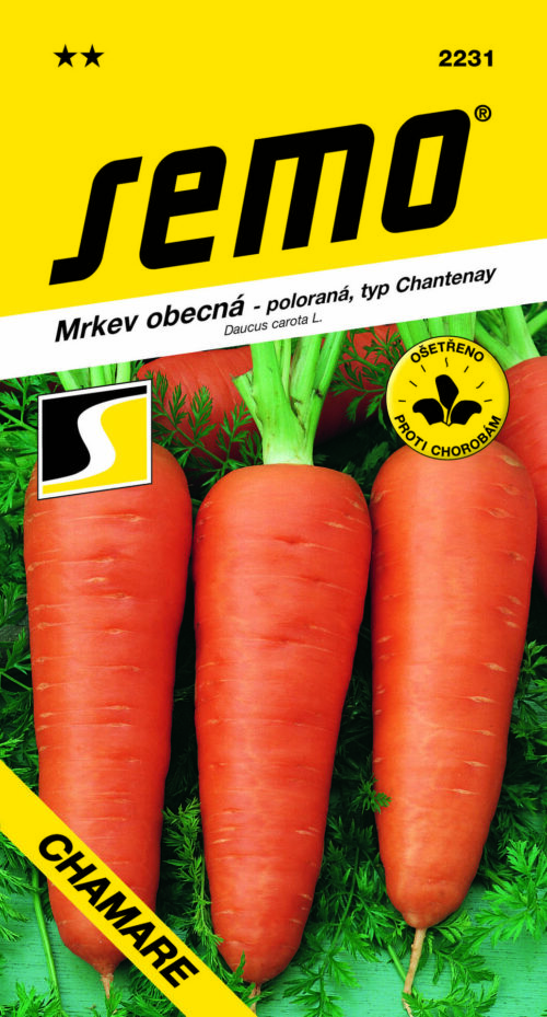 Mrkev - Chamare (typ Chantenay) poloraná 3g - Obrázek 1