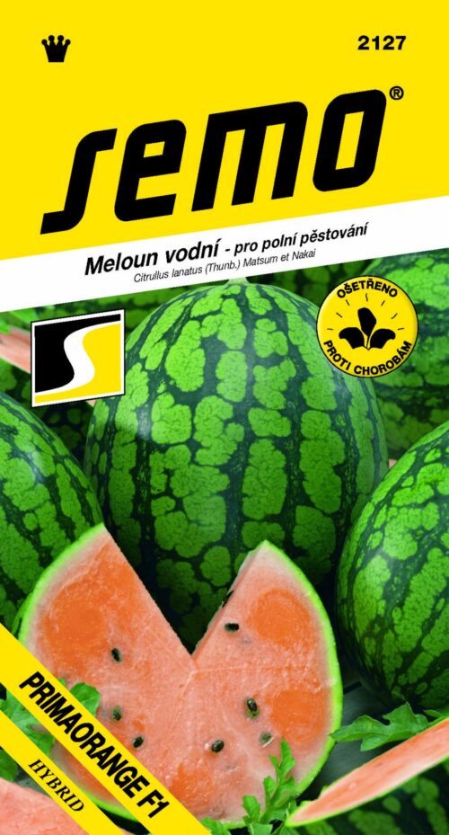 Meloun vodní - Primaorange F1 oranžový 8s - Image 1