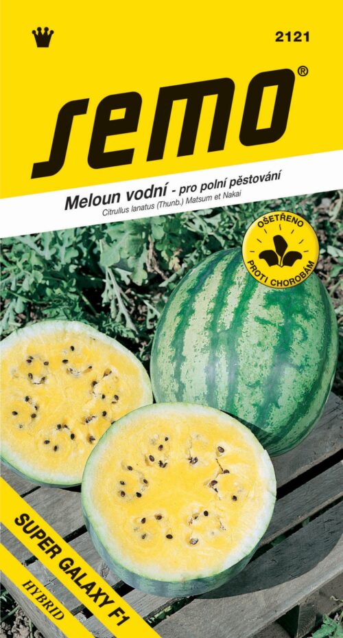 Meloun vodní - Primagold F1 žlutý 8s - Obrázek 1