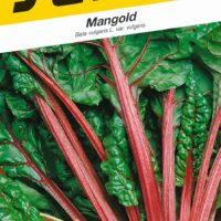 Mangold - Rhubard Chard zelený 3g