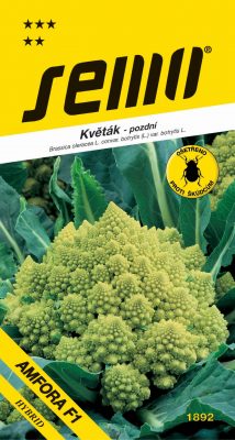 Květák podzimní - Veronica F1 (typ Romanesco) 10s