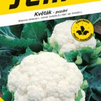 Květák letní - podzimní - Snow Lady 50s