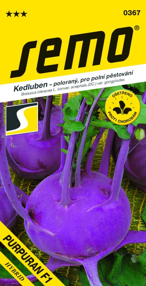 Kedluben modrý - Purpuran F1 poloraný, pro pole 50s - Obrázek 1