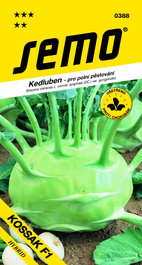 Kedluben bílý - Kossak F1 pozdní, pro pole 25s - Image 1