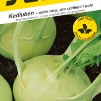 Kedluben bílý - Korist F1 velmi raný, pro pole 40s