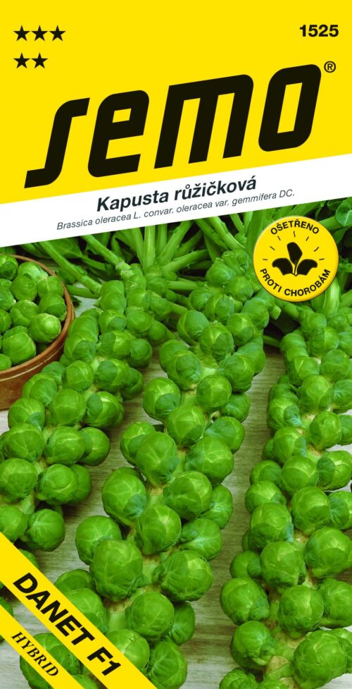 Kapusta růžičková - Danet F1 50s - Obrázek 1