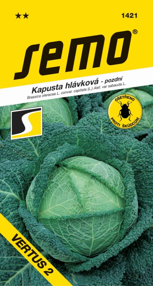 Kapusta hlávková - Vertus 2 pozdní 1g - Obrázek 1