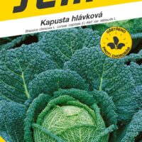 Kapusta hlávková - Blistra F1 pozdní 35s