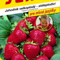 Jahodník velkoplodý - Grandian F1 12s - série JAZÝČKY