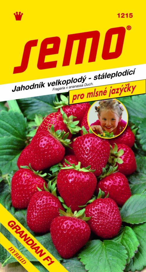 Jahodník velkoplodý - Grandian F1 12s - série JAZÝČKY - Obrázek 1
