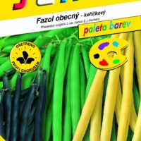 Fazol keř. směs barev 10g - série PALETA