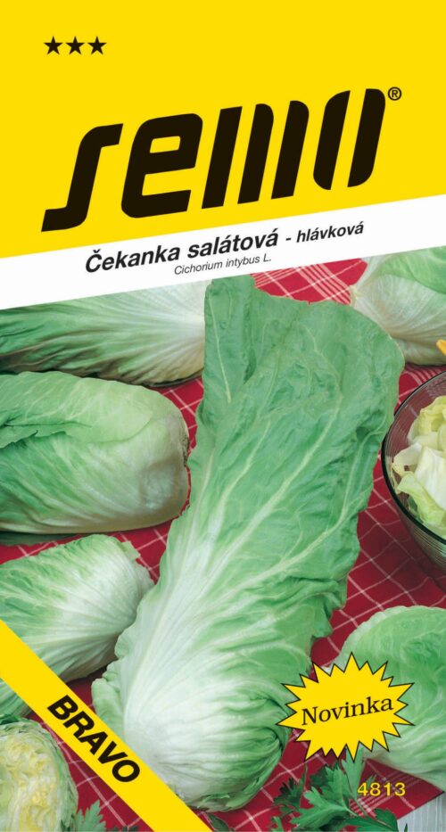 Čekanka hlávková zelená - Pan di Zucchero Bravo 0,3g - Obrázek 1