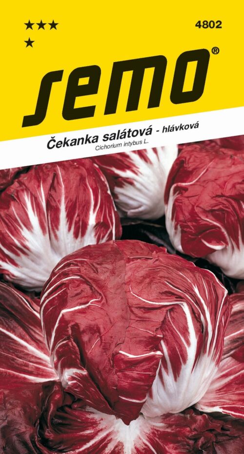 Čekanka hlávková červená - Palla Rossa 3 50s - Obrázek 1