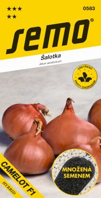 Cibule šalotka - Camelot F1 červená 50s