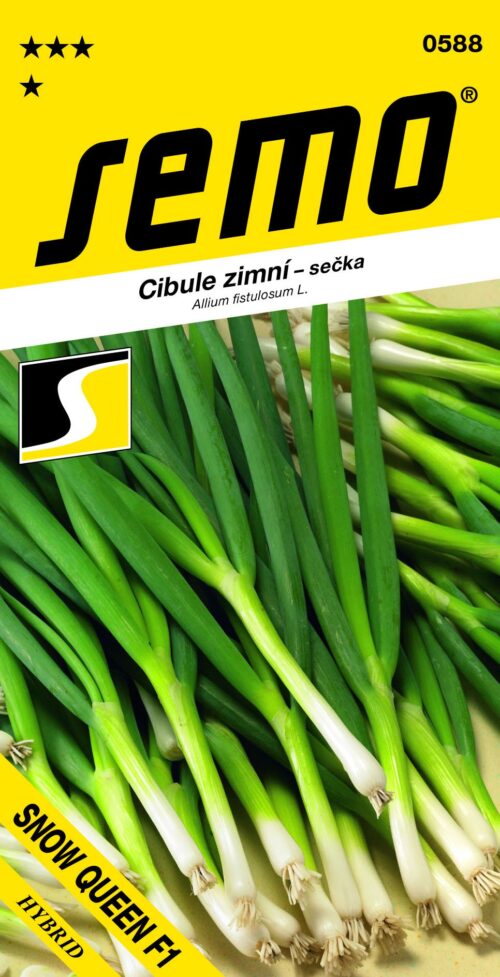 Cibule sečka - Snow Queen F1 zimní, celoročně pro nať 1,5g - Obrázek 1