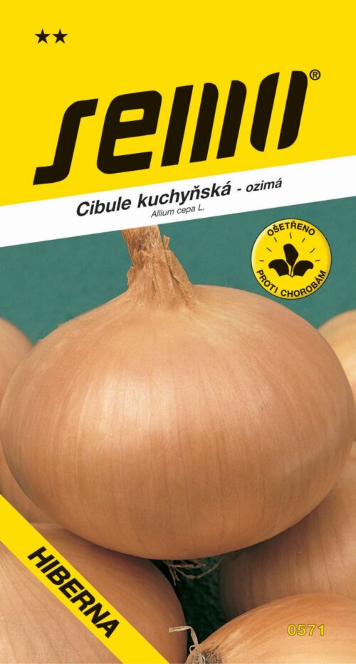 Cibule ozimá - Hiberna žlutá 2g - Obrázek 1