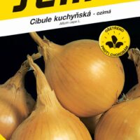 Cibule ozimá - Augusta žlutá 2g