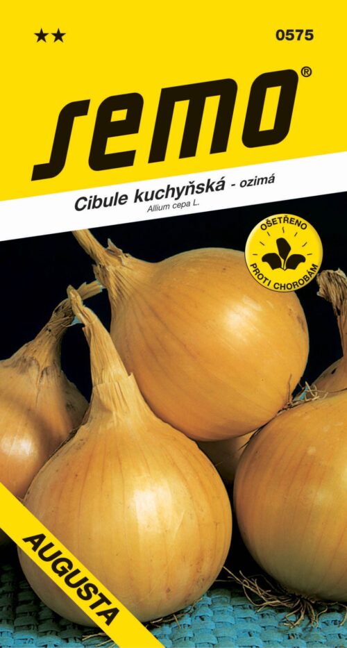 Cibule ozimá - Augusta žlutá 2g - Obrázek 1