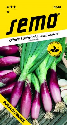 Cibule jarní - Rossa di Firenze červená svazková 2g