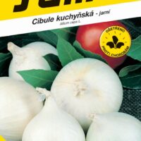 Cibule jarní - Agostana bílá 1g