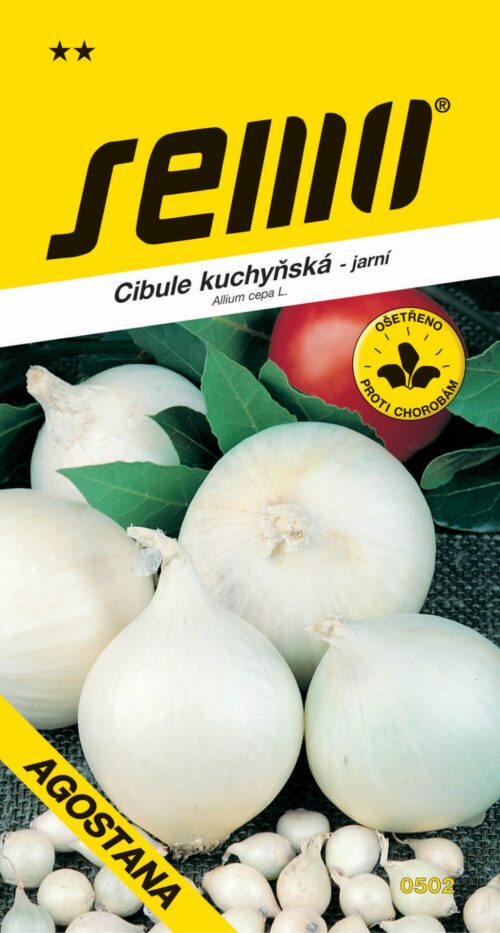 Cibule jarní - Agostana bílá 1g - Obrázek 1