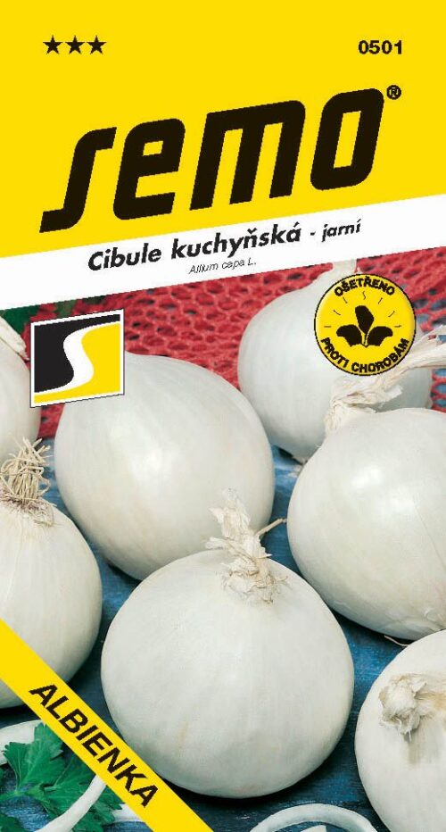 Cibule jarní - Albienka bílá 1,5g - Obrázek 1