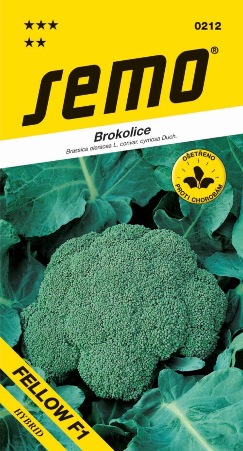 Brokolice - Steel F1 30s celoroční - Obrázek 1