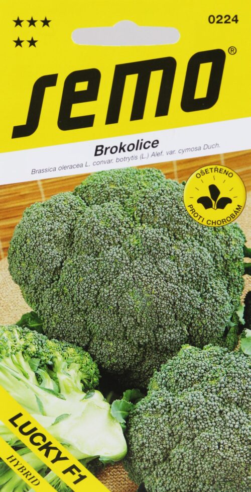 Brokolice - Lucky F1 40s - Obrázek 1