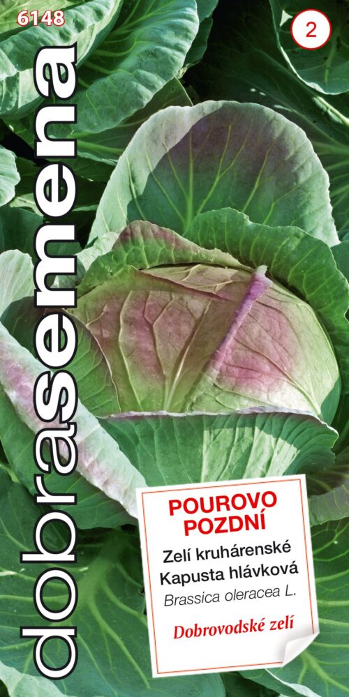 Dobrá semena Zelí kruhárenské - Pourovo pozdní 0,8g - Obrázek 1