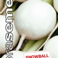 Dobrá semena Vodnice - Snowball 2g