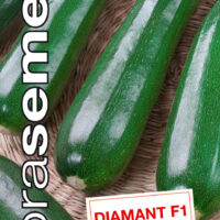 Dobrá semena Tykev cuketa - Diamant F1, zelená 1,5g