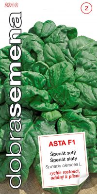 Dobrá semena Špenát setý - Asta F1 4g