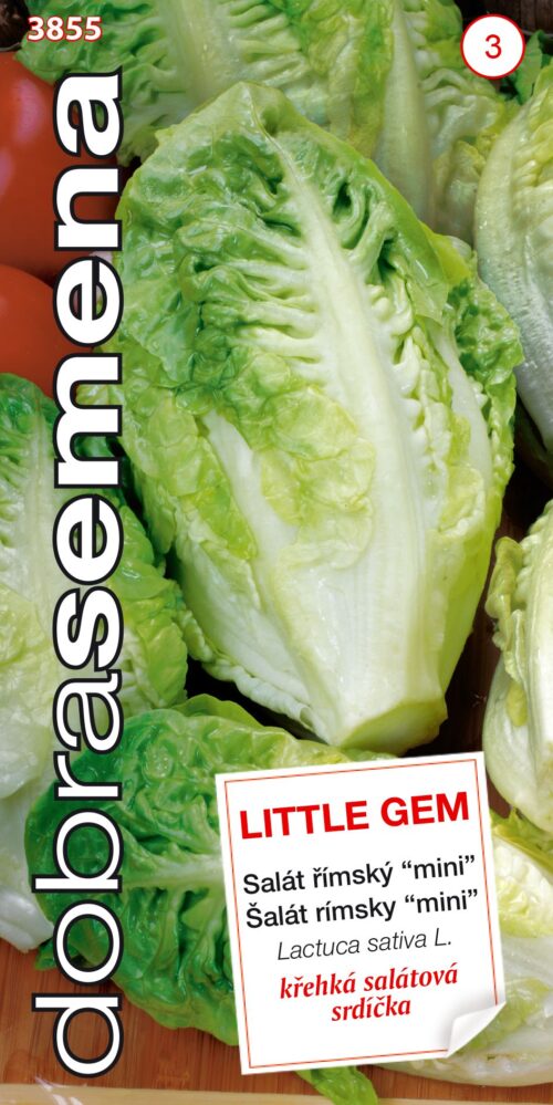 Dobrá semena Salát římský - Little Gem "mini srdíčka" 0,6g - Obrázek 1