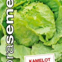 Dobrá semena Salát celoroční ledový - Kamelot 0,4g
