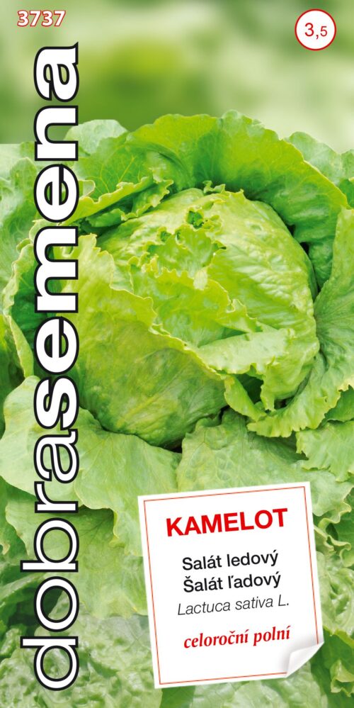 Dobrá semena Salát celoroční ledový - Kamelot 0,4g - Obrázek 1