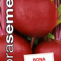 Dobrá semena Řepa salát. - Bona červená 4g