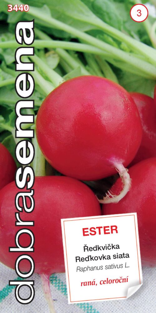 Dobrá semena Ředkvička červ. - Ester raná 3g - Obrázek 1