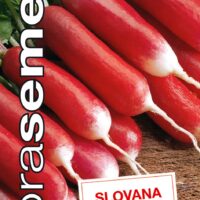 Dobrá semena Ředkvička čb. - Slovana rychl, raná 4g