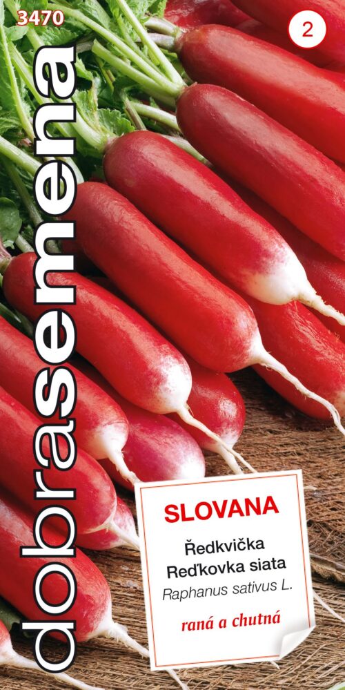Dobrá semena Ředkvička čb. - Slovana rychl, raná 4g - Image 1