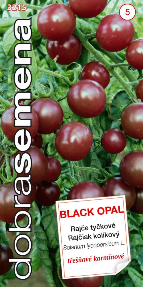 Dobrá semena Rajče tyč. třešňové - Black Opal 10s - Obrázek 1