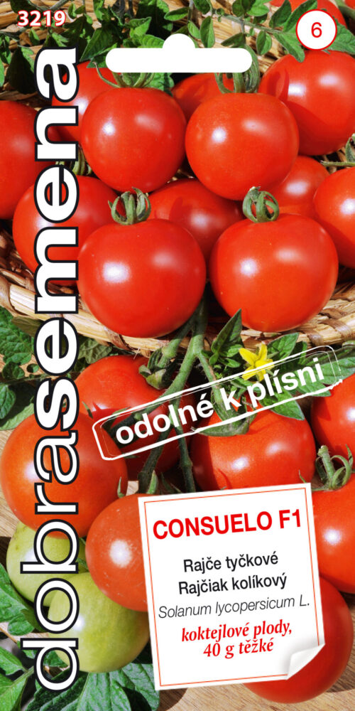Dobrá semena Rajče tyč. koktejlové - Consuelo F1 10s - Obrázek 1