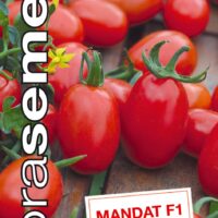 Dobrá semena Rajče tyč. datlové - Mandat F1 10s
