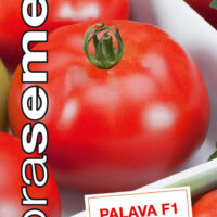 Dobrá semena Rajče tyč. - Palava F1 20s